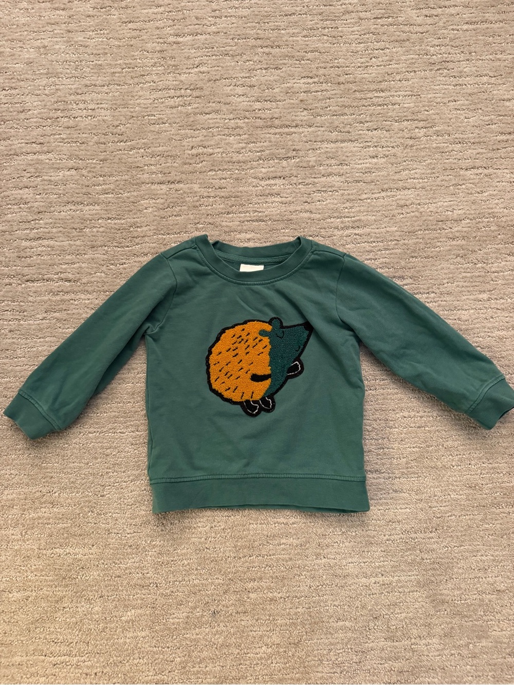 HANNAH ANDERSON Kids Green Hedgehog Sweatshirt 2T